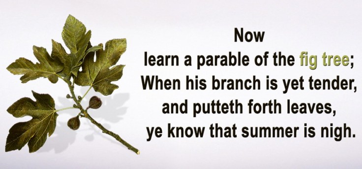 now-learn-a-parable-of-the-fig-tree